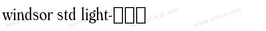 windsor std light字体转换